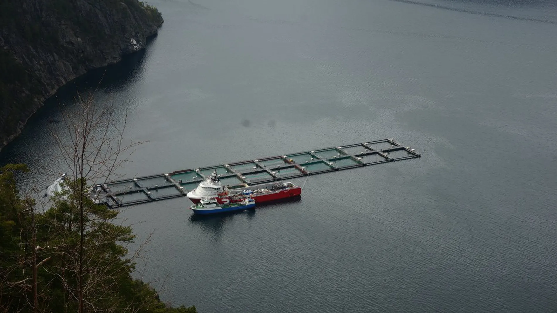 Farstad baat til Shetlands oppdrett