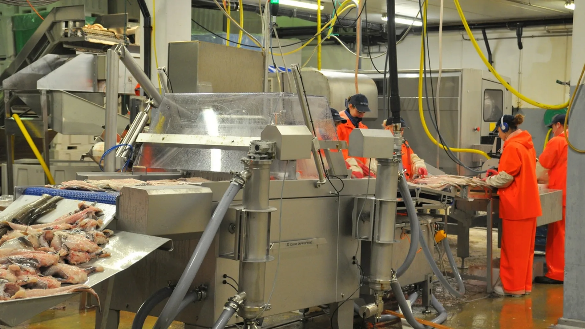 Har faatt god start i 2017