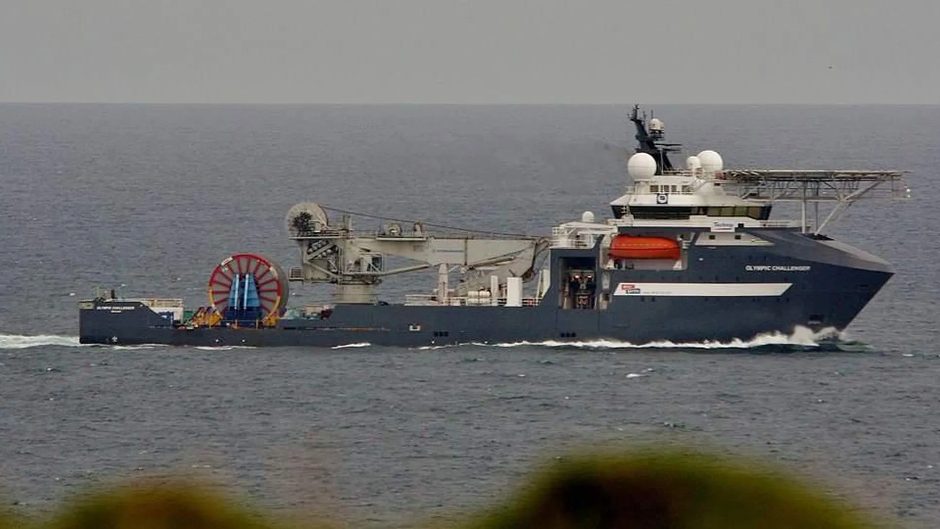 Redda kamskjeldykkar