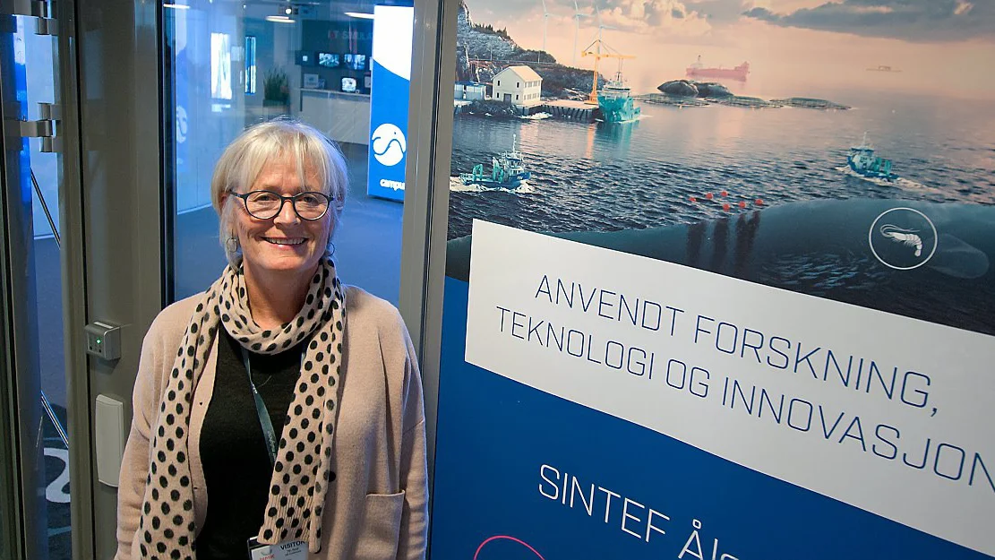 Sintef raadgiver Vi maa faa opp farta