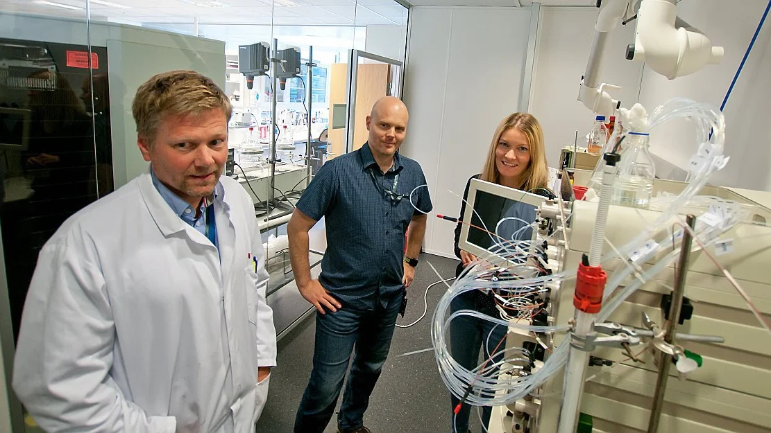 Jaktar verdi i krabbeskal