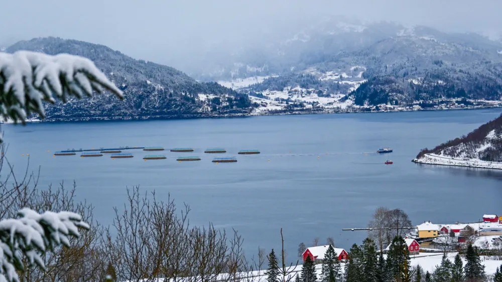 Svartekari Photo Henning Bortne Boen 1