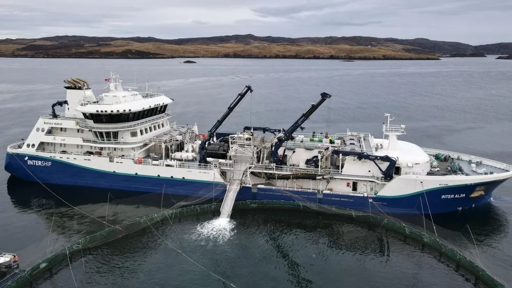 Inter Alba Bronnbat Trident foto Trident