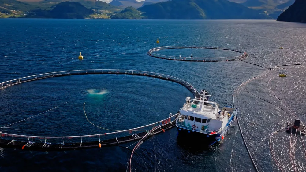 Foto Fuglefjellet 2 1