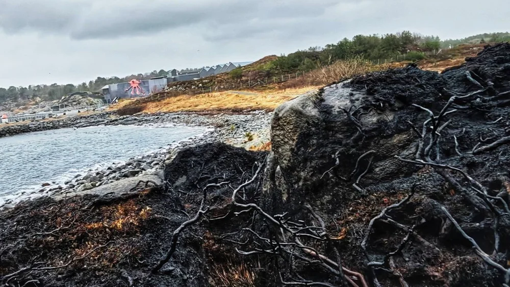 Terrengbrann Tueneset foto Kjetil Aarseth