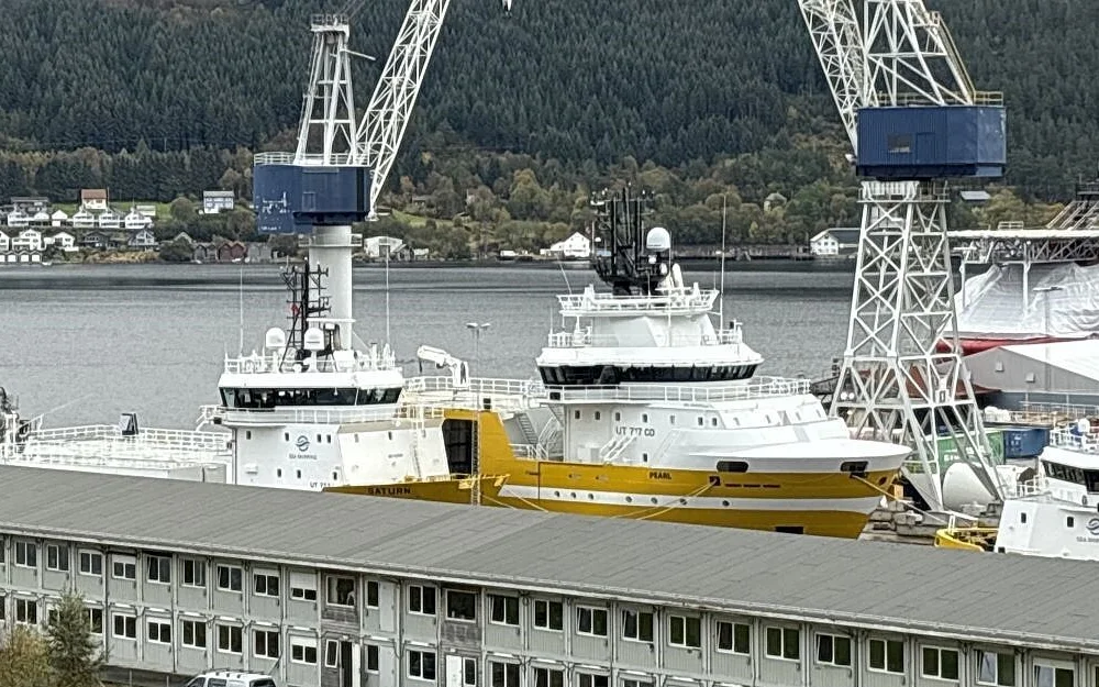 MS Pearl ava sea shipping green yard foto Marius