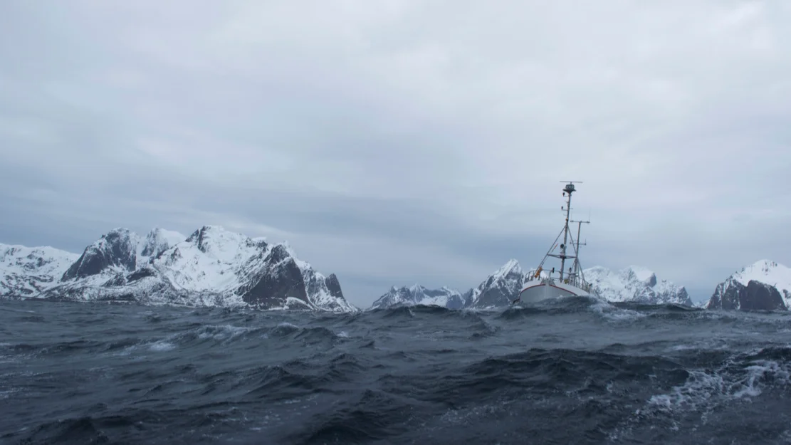 Illustrasjonfoto fiske foto johan wildhagen 7180 1 Norges Sjomatrad
