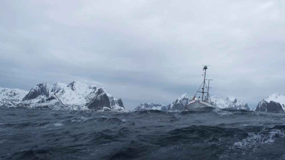 Illustrasjonfoto fiske foto johan wildhagen 7180 1 Norges Sjomatrad