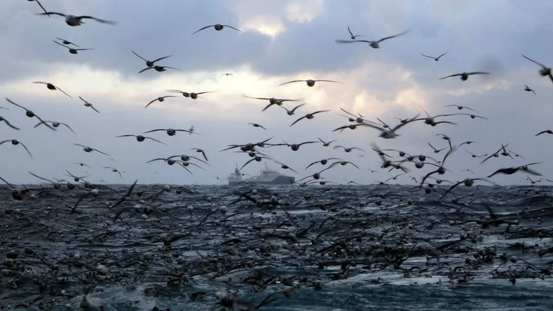 Fiskarane dreg i fraa