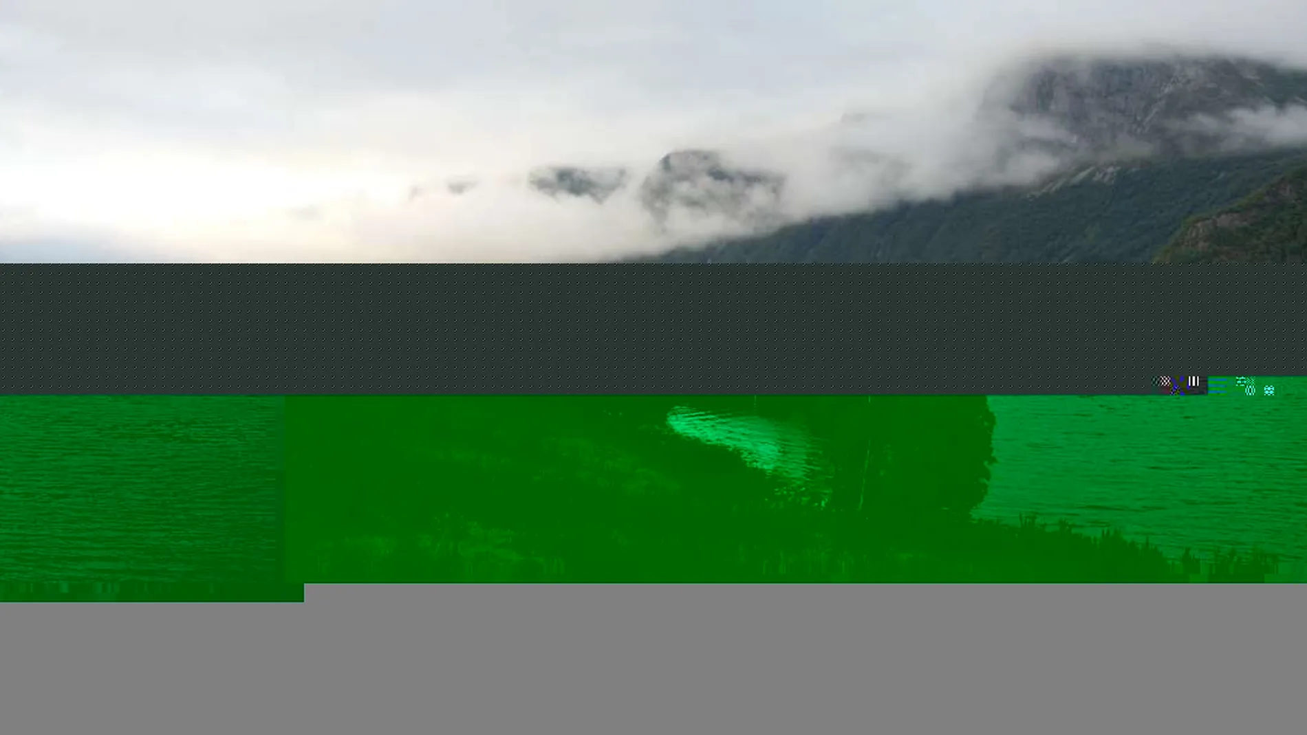 Ser 100 dollar fatet i 2020